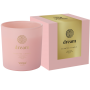 BISPOL Valpe scented candle sn100m-038-391 (Dream) ~40h