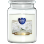 BISPOL Aura scented candle snd99-179 (White flowers) ~100h