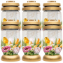 Candles BOLSIUS 3S 19 Spring 22.5cm 36h 6pcs.