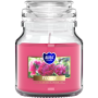 BISPOL Aura scented candle snd71-157 (Peony) ~28h