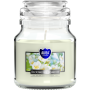 BISPOL Aura scented candle snd71-169 (Blooming jasmine) ~28h