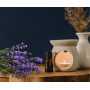 BISPOL Aura scented wax wz40-2-79 (Lavender) 2 pcs.