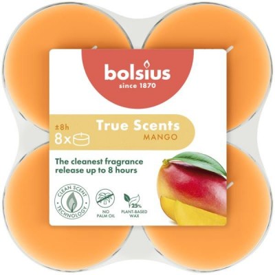 BOLSIUS scented heaters 57mm (Mango) ~8h 8pcs.