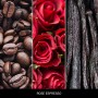 Uzupełniacz do pałeczek MILLEFIORI Milano ROSE ESPRESSO 500ml