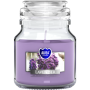 BISPOL Aura scented candle snd71-79 (Lavender) ~28h