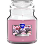 BISPOL Aura scented candle snd71-314 (Frozen berries) ~28h