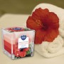 BISPOL Aura scented candle snk80-356 (Hibiscus & White sage) ~32h