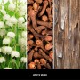 Refill for sticks MILLEFIORI Milano WHITE MUSK 250ml