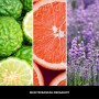 Spray do pomieszczeń MILLEFIORI Milano MEDITERRANEAN BERGAMOT 150ml