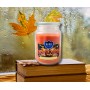 BISPOL Aura scented candle snd99-466 (Halloween) ~100h