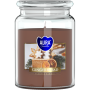 BISPOL Aura scented candle snd99-346 (Gingerbread) ~100h