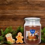 BISPOL Aura scented candle snd99-346 (Gingerbread) ~100h