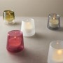 Scented candles for the BOLSIUS CleanLight ~24h Cypress & Amber candle holder, 2 pcs.