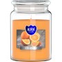 BISPOL Aura scented candle snd99-63 (Orange) approx. 100h
