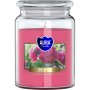 BISPOL Aura scented candle snd99-157 (Peony) approx. 100h