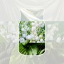 Vonná svíčka Yankee Candle Clean Cotton velká 567 g