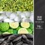 WoodWick Solar Ylang vonná svíčka střední velikosti 275g